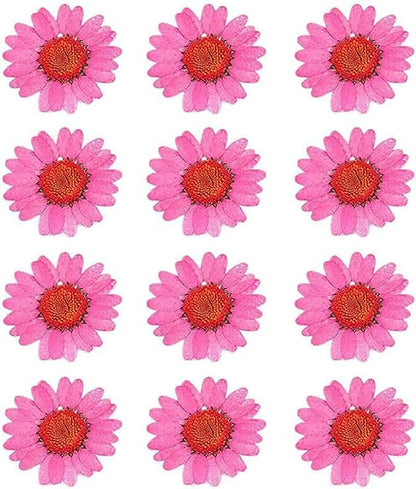 50pcs Natural Dried Daisy Flower, Vacuum Packaging, Pressed Flower for House Decoration, Jewelry Making, Phone case Decoration (Yellow)