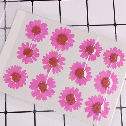 50pcs Natural Dried Daisy Flower, Vacuum Packaging, Pressed Flower for House Decoration, Jewelry Making, Phone case Decoration (Yellow)
