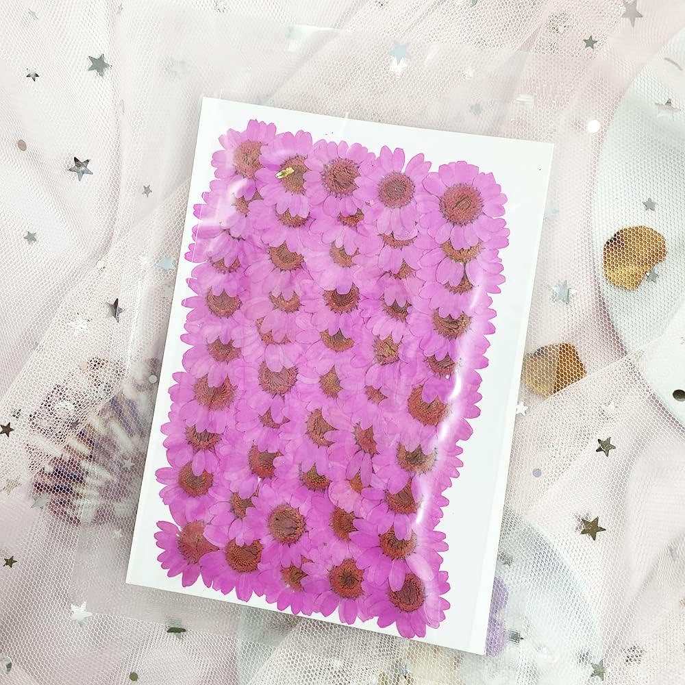 50pcs Natural Dried Daisy Flower, Vacuum Packaging, Pressed Flower for House Decoration, Jewelry Making, Phone case Decoration (Yellow)