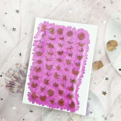 50pcs Natural Dried Daisy Flower, Vacuum Packaging, Pressed Flower for House Decoration, Jewelry Making, Phone case Decoration (Yellow)