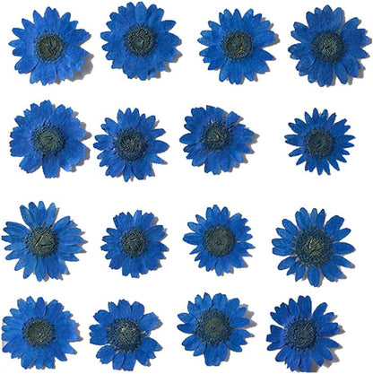 50pcs Natural Dried Daisy Flower, Vacuum Packaging, Pressed Flower for House Decoration, Jewelry Making, Phone case Decoration (Yellow)