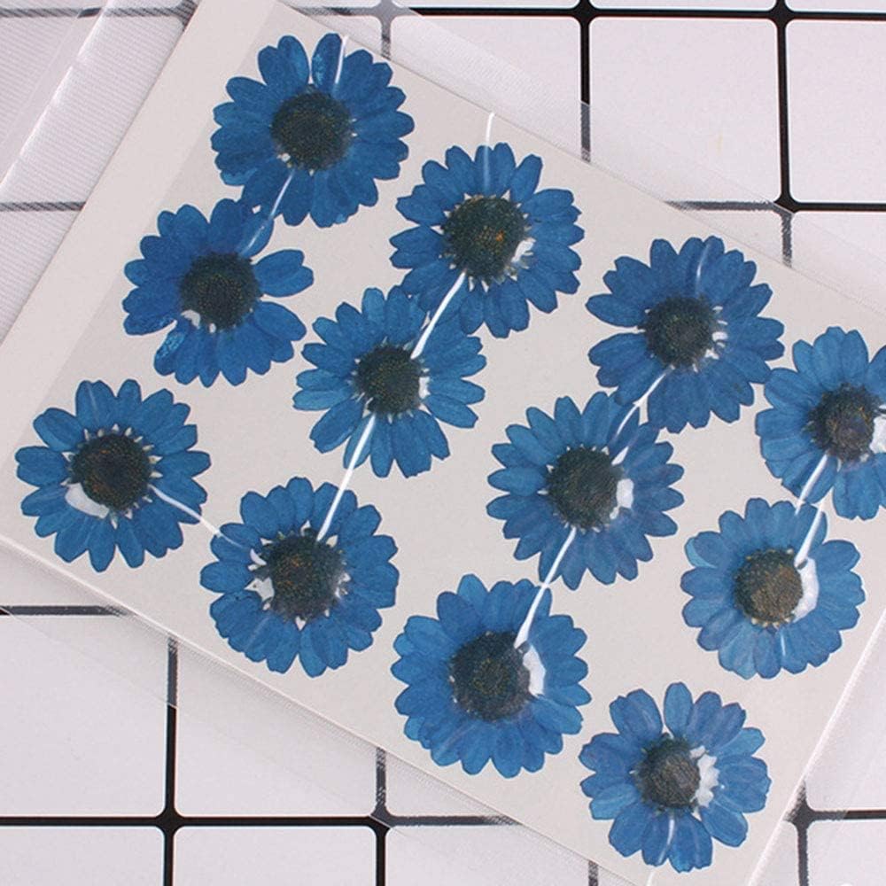 50pcs Natural Dried Daisy Flower, Vacuum Packaging, Pressed Flower for House Decoration, Jewelry Making, Phone case Decoration (Yellow)
