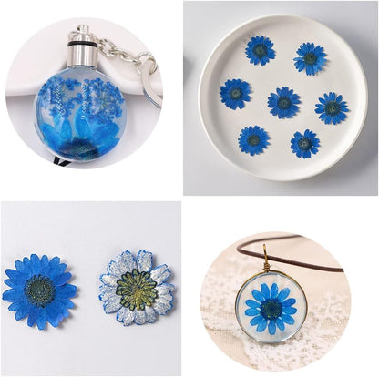 50pcs Natural Dried Daisy Flower, Vacuum Packaging, Pressed Flower for House Decoration, Jewelry Making, Phone case Decoration (Yellow)