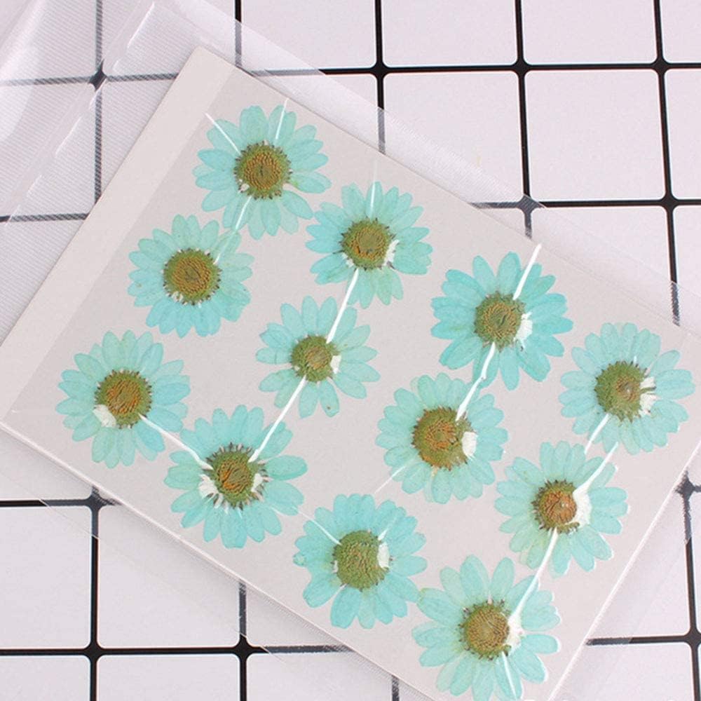 50pcs Natural Dried Daisy Flower, Vacuum Packaging, Pressed Flower for House Decoration, Jewelry Making, Phone case Decoration (Yellow)