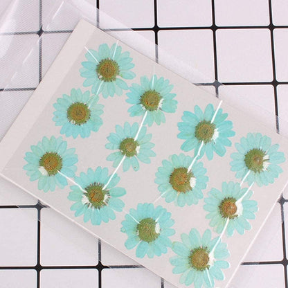 50pcs Natural Dried Daisy Flower, Vacuum Packaging, Pressed Flower for House Decoration, Jewelry Making, Phone case Decoration (Yellow)
