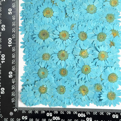 25pcs Yellow Daisy Dried Pressed Flowers Real Natural Dry Flowers for Resin Candle Card Making Wedding Invitations Scrapbooking Christmas Crafts