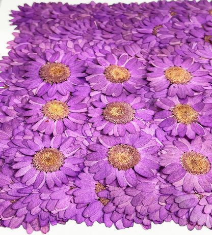 25pcs Yellow Daisy Dried Pressed Flowers Real Natural Dry Flowers for Resin Candle Card Making Wedding Invitations Scrapbooking Christmas Crafts