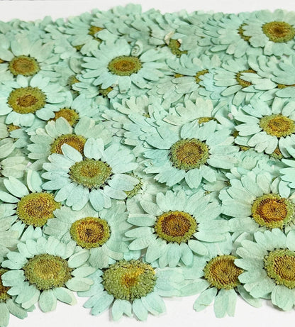 25pcs Yellow Daisy Dried Pressed Flowers Real Natural Dry Flowers for Resin Candle Card Making Wedding Invitations Scrapbooking Christmas Crafts