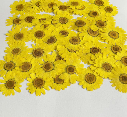 25pcs Yellow Daisy Dried Pressed Flowers Real Natural Dry Flowers for Resin Candle Card Making Wedding Invitations Scrapbooking Christmas Crafts
