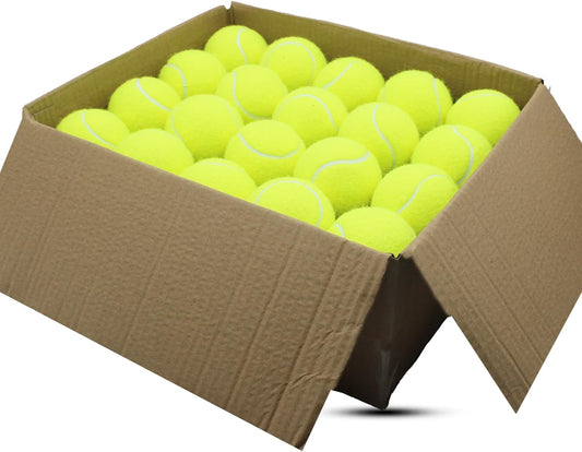 SHYUJAJIE Tennis Balls, 40 Pack Training Tennis Balls,High Elasticity Practice Tennis for Beginner, Exercise Playing Balls for Pet Dog