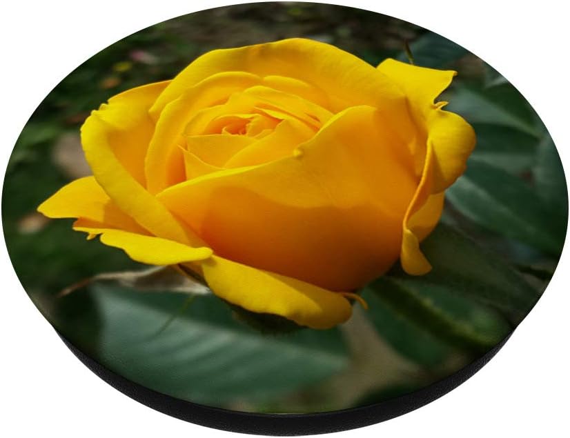 Yellow Rose PopSockets Grip and Stand for Phones and Tablets