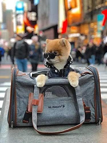 Airline Approved Soft Sided Pet Carrier, Low Profile Gold Series Tote, Premium Brand Self Locking Zippers, Under Seat Compatibility, Plush Faux Fleece Bedding with a Sturdy Plywood Base