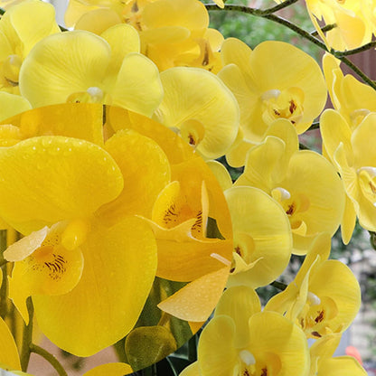 32 Inch Artificial Phalaenopsis Flowers 4 Pcs Artificial Orchid Flowers Fake Flowers Stem Plants for Home Décor (Yellow)