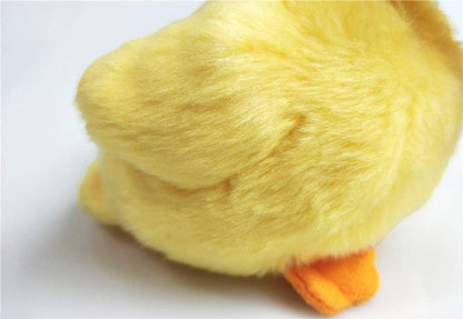 Yellow Chick Stuffed Animal Chicken White 5 inches, 12cm, Plush Toy, Duck Soft Toy (1Yellow Duck)