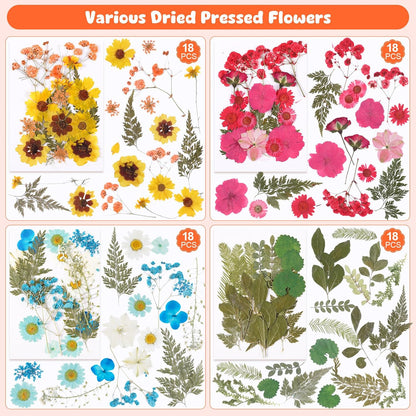 650pcs Dried Pressed Flowers for Resin Craft Dried Pressed Flowers with Butterfly Stickers and Tweezers for DIY Making Nail Soap Jewelry Candles Floral Decors