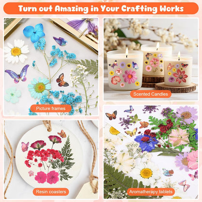 650pcs Dried Pressed Flowers for Resin Craft Dried Pressed Flowers with Butterfly Stickers and Tweezers for DIY Making Nail Soap Jewelry Candles Floral Decors
