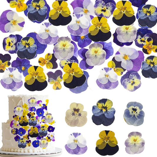 48 Pcs Natural Dried Mix Viola Tricolor Flowers 6 Colors - Edible Pansy for Cake Decorating, Resin Jewelry Making, Crafts, Nail Art, Candle Soap Making & Baking Supplies