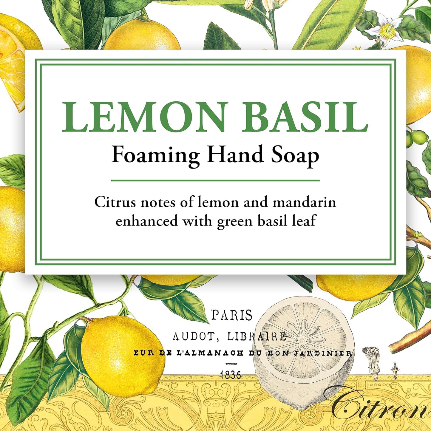 Foaming Hand Soap, Lemon Basil, 1-Pack, 17.8 Fl oz Each
