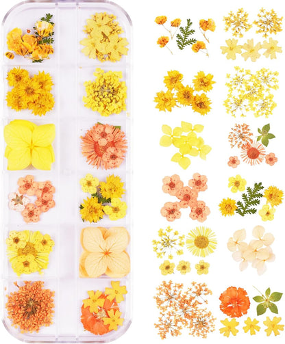 60Pcs Small Dried Pressed Flowers for Crafts,Mini Flower for Nail Art | Mini Dry Flower Kit for Epoxy Resin Accessories,Bookmark,Nails, Jewelry Making,Candle,Soap,Resin Molds