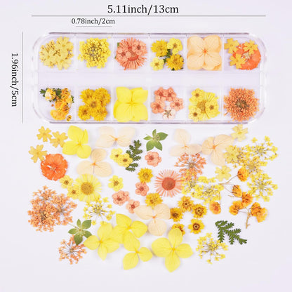 60Pcs Small Dried Pressed Flowers for Crafts,Mini Flower for Nail Art | Mini Dry Flower Kit for Epoxy Resin Accessories,Bookmark,Nails, Jewelry Making,Candle,Soap,Resin Molds