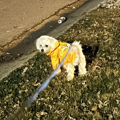 Dog Raincoats for Medium Dogs, Waterproof Rain Jacket with Hood | Puppy rain jacket with Harness, Reflective Poncho with Harness Built in, Rain Gear Clothes with Hat for Boy Girl, Yellow M
