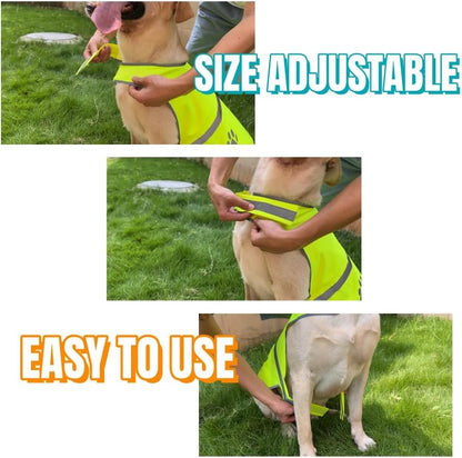 Yellow Oxford Reflective Dog Safety Vest for Walking, Jogging XL | Sturdy oxford reflective dog safety vest, adjustable hi vis gear for walking, jogging, training & casual outdoor hunting