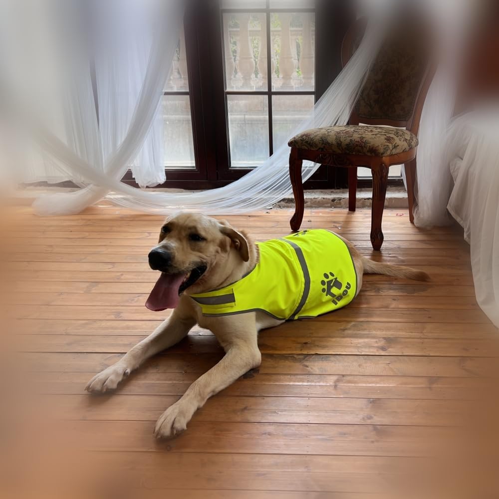 Yellow Oxford Reflective Dog Safety Vest for Walking, Jogging XL | Sturdy oxford reflective dog safety vest, adjustable hi vis gear for walking, jogging, training & casual outdoor hunting