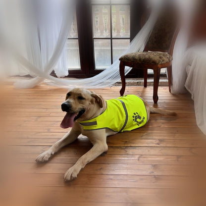 Yellow Oxford Reflective Dog Safety Vest for Walking, Jogging XL | Sturdy oxford reflective dog safety vest, adjustable hi vis gear for walking, jogging, training & casual outdoor hunting