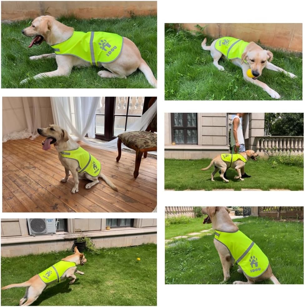Yellow Oxford Reflective Dog Safety Vest for Walking, Jogging XL | Sturdy oxford reflective dog safety vest, adjustable hi vis gear for walking, jogging, training & casual outdoor hunting