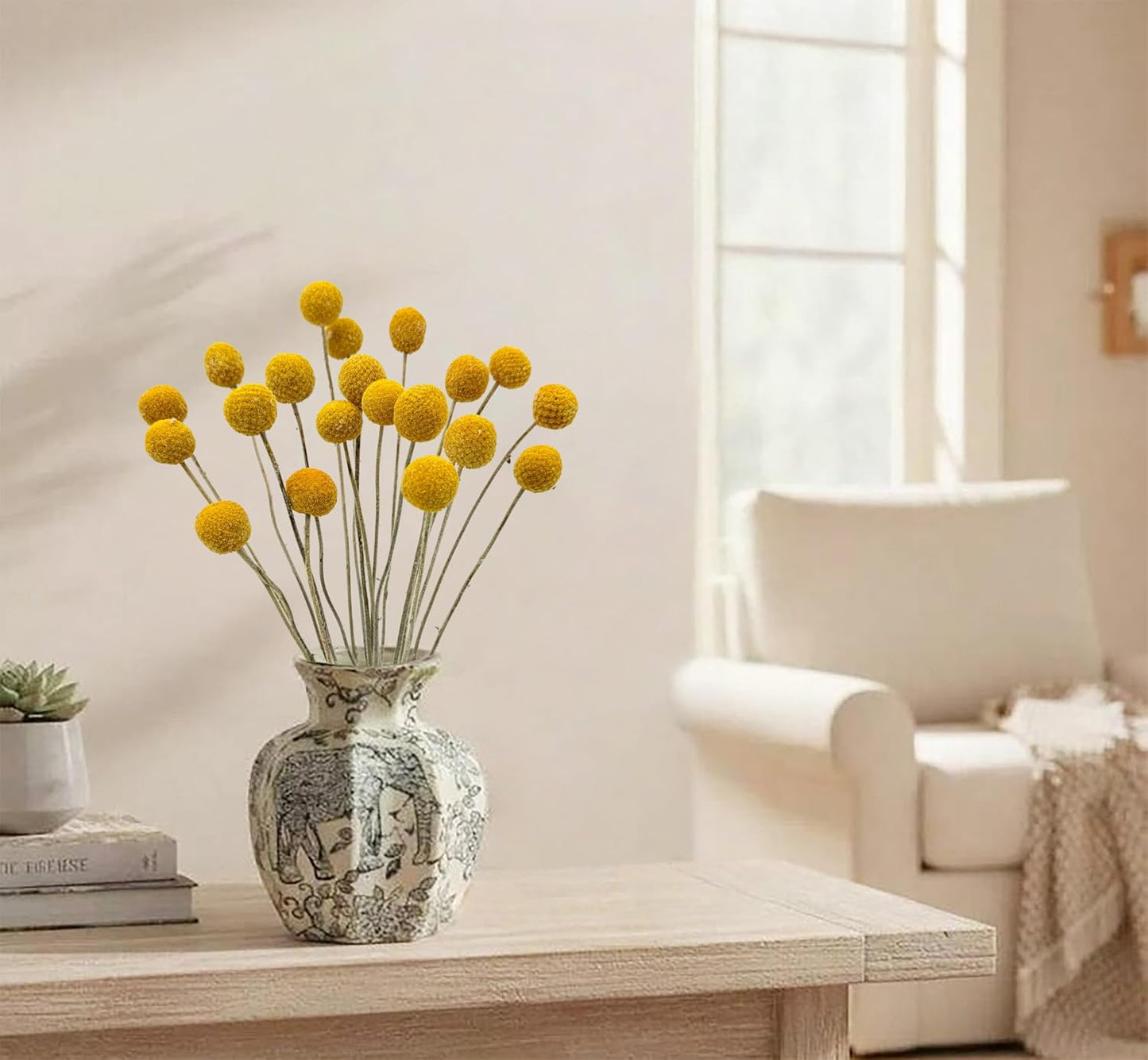 20PCS Natural Dried Flowers Craspedia Billy Balls Flowers Yellow 3cm Dried Craspedia Flowers Billy Buttons Floral Bouquet for Flower Arrangements Wedding Home Tall Vase Decor Fall Autumn