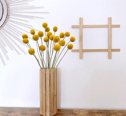 20PCS Natural Dried Flowers Craspedia Billy Balls Flowers Yellow 3cm Dried Craspedia Flowers Billy Buttons Floral Bouquet for Flower Arrangements Wedding Home Tall Vase Decor Fall Autumn