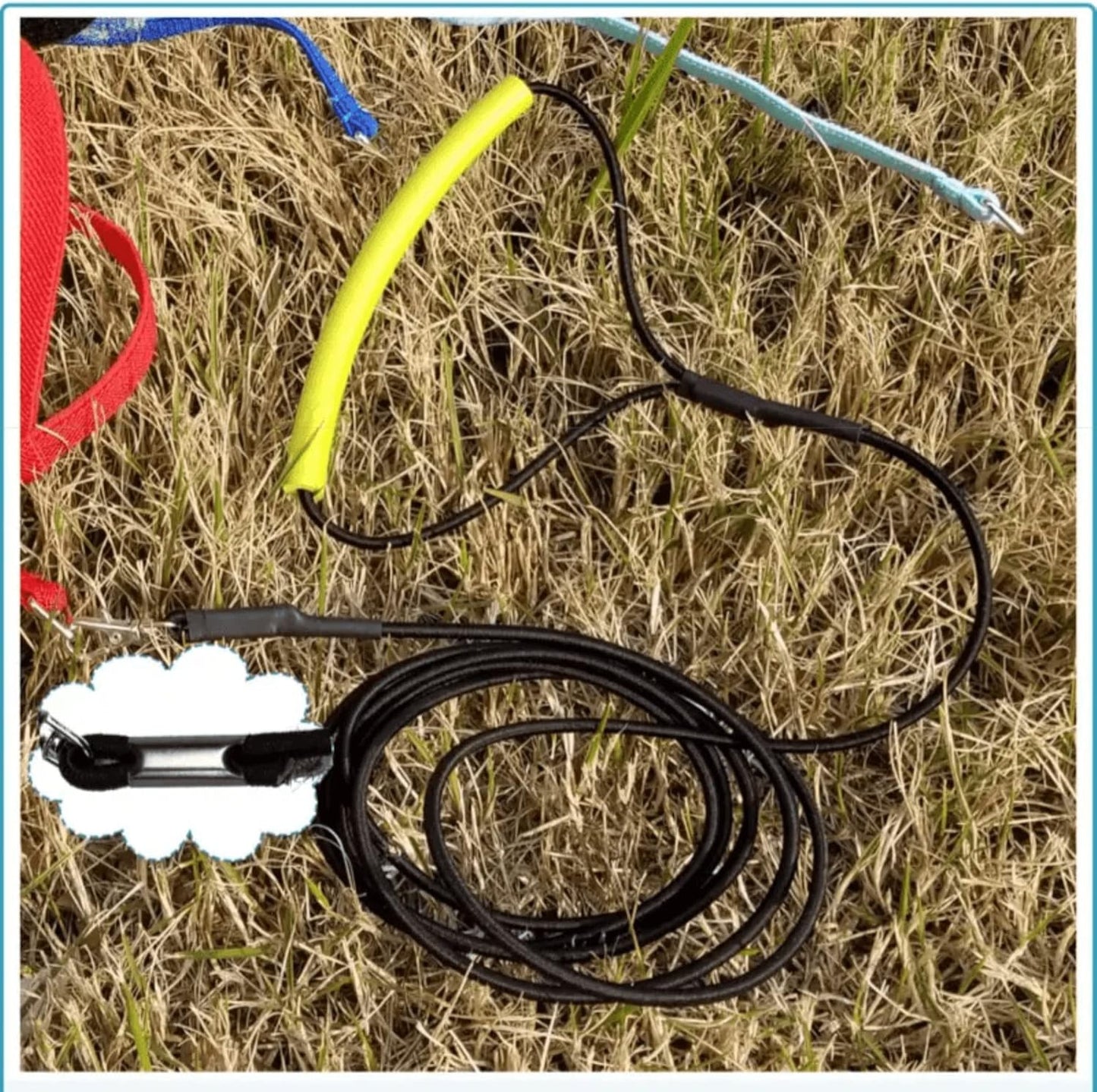 Pet Parrot Bird Harness Leash Adjustable Bird Flying Harness Traction Rope with Cute Wing for Parrots Pigeons Budgerigar Lovebird Cockatiel Mynah Outdoor Training Toy (L, Yellow)