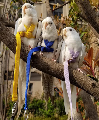 Pet Parrot Bird Harness Leash Adjustable Bird Flying Harness Traction Rope with Cute Wing for Parrots Pigeons Budgerigar Lovebird Cockatiel Mynah Outdoor Training Toy (L, Yellow)
