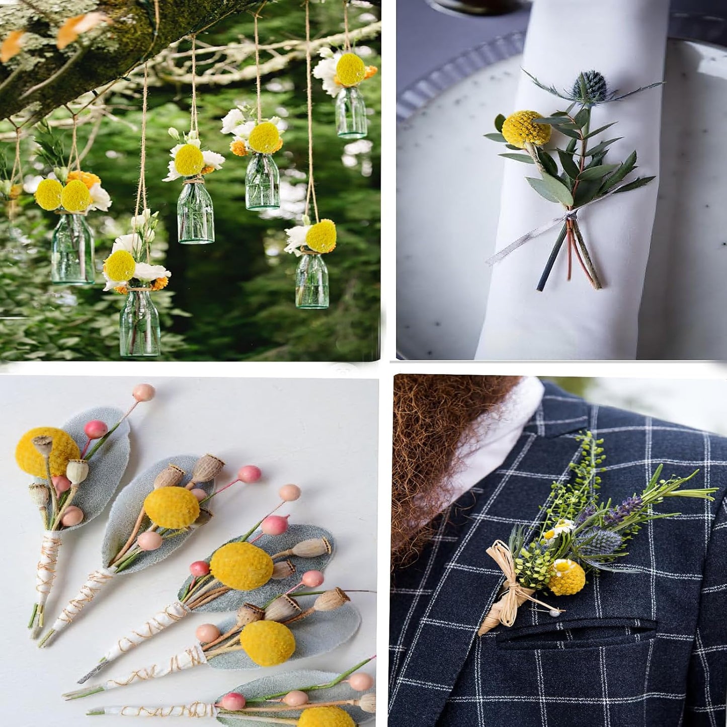 20 Pcs Natural Dried Flowers Craspedia Billy Balls Flowers Billy Buttons Balls Dried Floral Bouquet for Flower Arrangements Wedding Home Tall Vase Crafts Decor Yellow