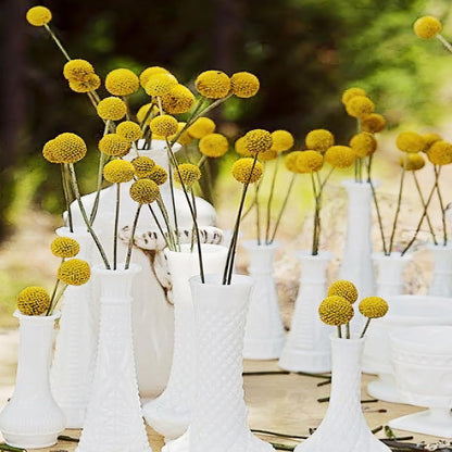 20 Pcs Natural Dried Flowers Craspedia Billy Balls Flowers Billy Buttons Balls Dried Floral Bouquet for Flower Arrangements Wedding Home Tall Vase Crafts Decor Yellow