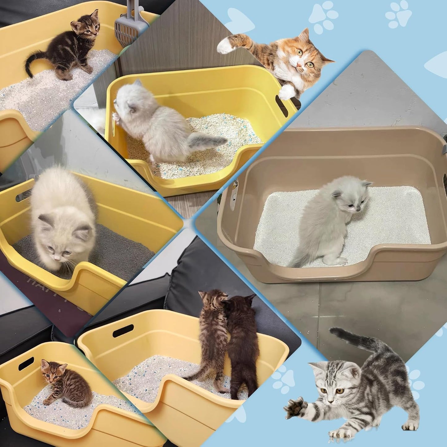Low Entry Kitty Litter Box for Small Cats, Kittens Litter Boxes with High Sides, Open Top, Anti-Splash Plastic Litter Pan for Medium Pets, Easy to Clean, 16.5" L*11.8" W*7" H (Yellow)