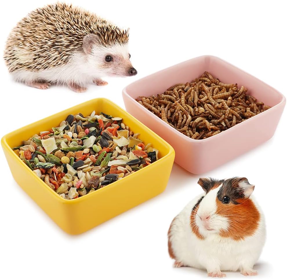 2 Pcs Pet Ceramic Food Bowl and Water Dish Feeder for Guinea Pig Hedgehog Squirrel Small Animals