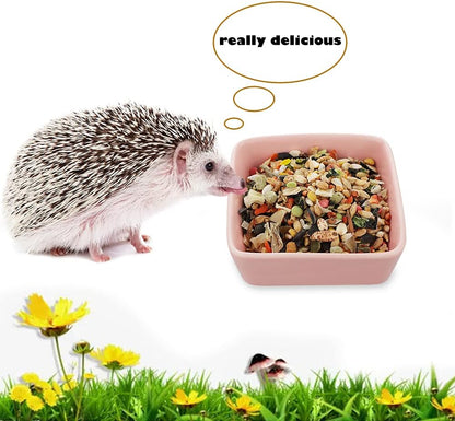 2 Pcs Pet Ceramic Food Bowl and Water Dish Feeder for Guinea Pig Hedgehog Squirrel Small Animals