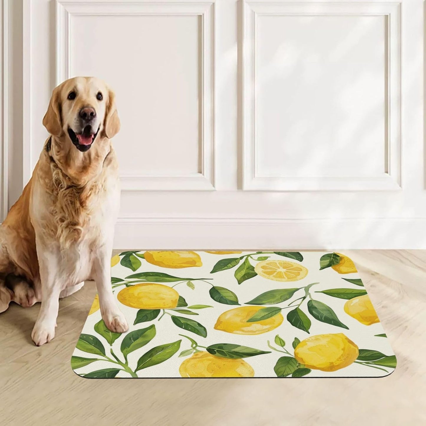 Tropical Lemons Pet Feeding Mat Absorbent Dog Food Mat for Floor Cat Dog Bowl Mats Rug Pet Placemats for Food Water Pets Supplies 12x18