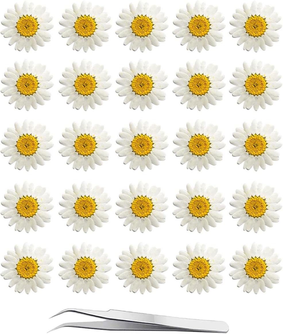 60Pcs White Dried Daisy Pressed Flowers - 60Pcs Real Nature Flowers Set for Resin DIY Jewelry Candle Soap Vase Making Nail Card Scrapbook Art Craft Floral Decors