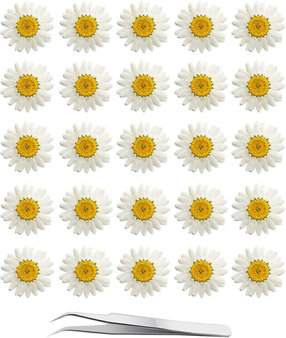 60Pcs White Dried Daisy Pressed Flowers - 60Pcs Real Nature Flowers Set for Resin DIY Jewelry Candle Soap Vase Making Nail Card Scrapbook Art Craft Floral Decors