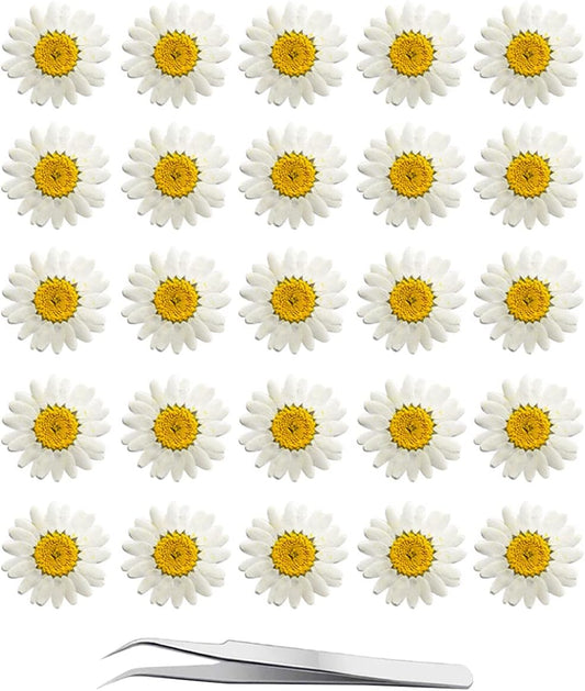 60Pcs White Dried Daisy Pressed Flowers - 60Pcs Real Nature Flowers Set for Resin DIY Jewelry Candle Soap Vase Making Nail Card Scrapbook Art Craft Floral Decors
