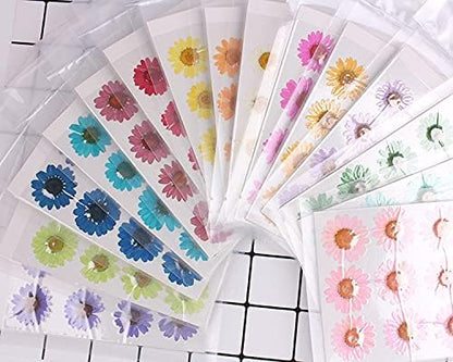 60Pcs White Dried Daisy Pressed Flowers - 60Pcs Real Nature Flowers Set for Resin DIY Jewelry Candle Soap Vase Making Nail Card Scrapbook Art Craft Floral Decors
