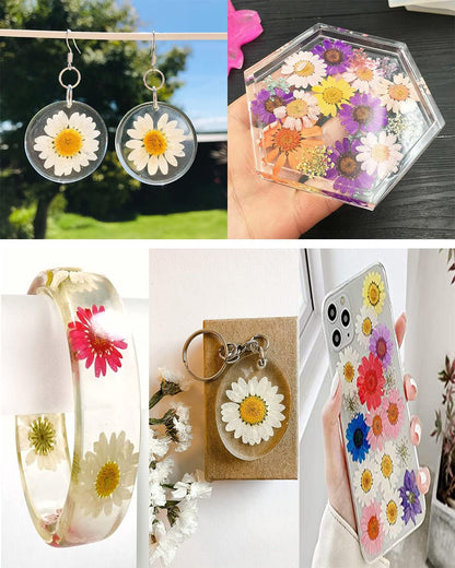 60Pcs White Dried Daisy Pressed Flowers - 60Pcs Real Nature Flowers Set for Resin DIY Jewelry Candle Soap Vase Making Nail Card Scrapbook Art Craft Floral Decors