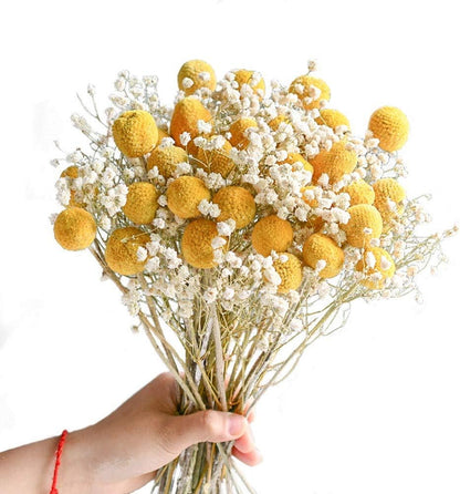 25 Pcs Natural Dried Flowers Yellow Craspedia Billy Balls Bouquet Large Buttons Dried Flowers for DIY Flower Arrangements Photo Props DIY Wedding Home Tall Vase Decor