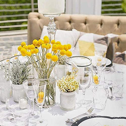 25 Pcs Natural Dried Flowers Yellow Craspedia Billy Balls Bouquet Large Buttons Dried Flowers for DIY Flower Arrangements Photo Props DIY Wedding Home Tall Vase Decor