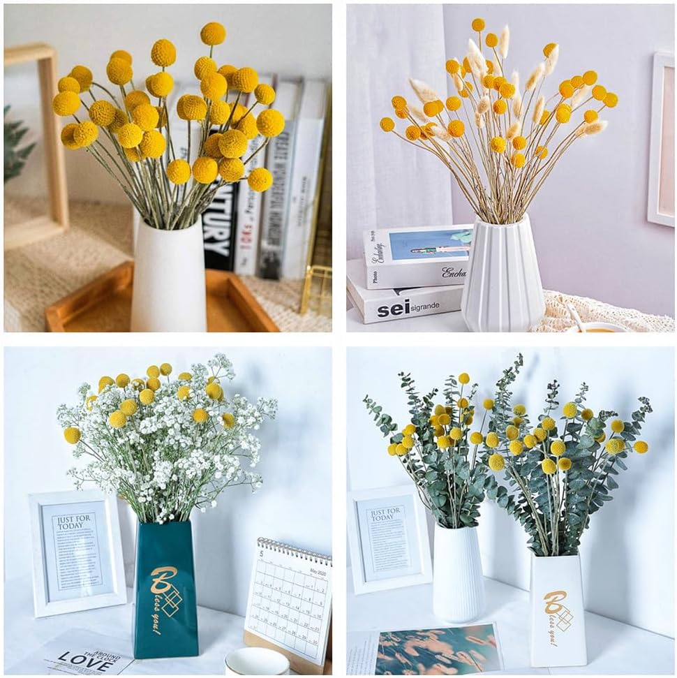 25 Pcs Natural Dried Flowers Yellow Craspedia Billy Balls Bouquet Large Buttons Dried Flowers for DIY Flower Arrangements Photo Props DIY Wedding Home Tall Vase Decor
