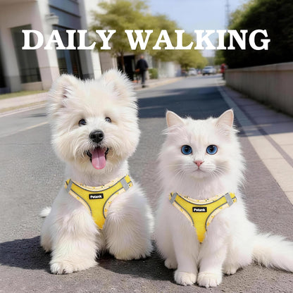 Dog Harness for Small Medium Dogs Cats No Pull, XXS Puppy Harness and Leash Set, Mesh Adjustable Breathable Light Vest for Walking, Running, Training. (Yellow, XXS)