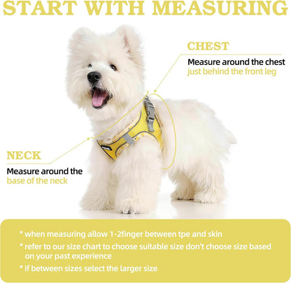 Dog Harness for Small Medium Dogs Cats No Pull, XXS Puppy Harness and Leash Set, Mesh Adjustable Breathable Light Vest for Walking, Running, Training. (Yellow, XXS)
