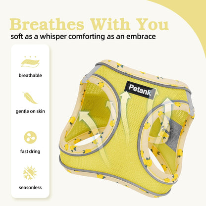 Dog Harness for Small Medium Dogs Cats No Pull, XXS Puppy Harness and Leash Set, Mesh Adjustable Breathable Light Vest for Walking, Running, Training. (Yellow, XXS)
